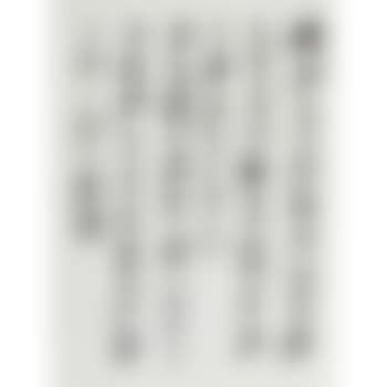 Poems In Xingshu (preview)
