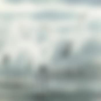 Four Egrets By The Reeds (preview)