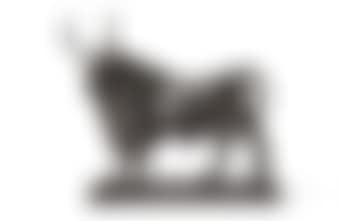 Modele D'un Taureau Romain (preview)
