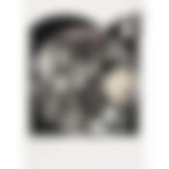 Barbara Rose fan club (preview)