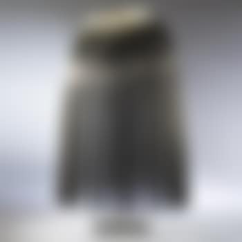 Untitled (willow) (preview)