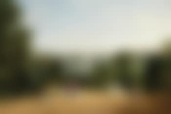View of Melbourne from the Botanical Gardens (preview)