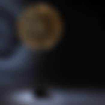 Untitled (dandelion) (preview)