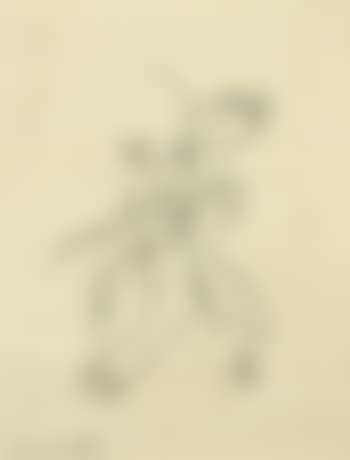 Transparence (preview)