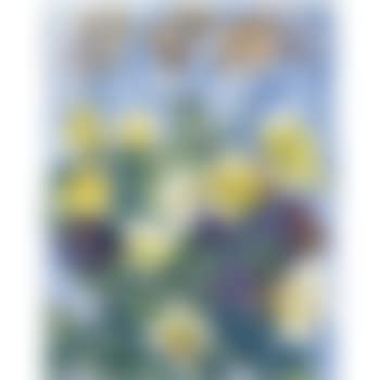 Still Life Of Roses (preview)