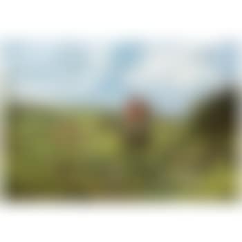 Full Cry (preview)