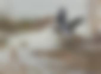 Snipe (preview)