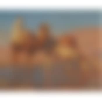 The Camel Driver (preview)