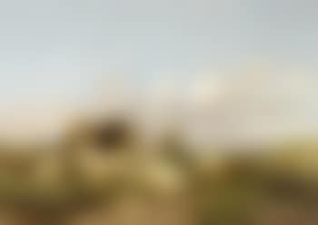 Sheep grazing in a summer coastal landscape, possibly Kent (preview)
