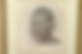 Portrait of 'M.K. Gandhi' (preview)