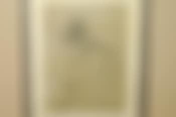 Drawing of an old soldier (preview)