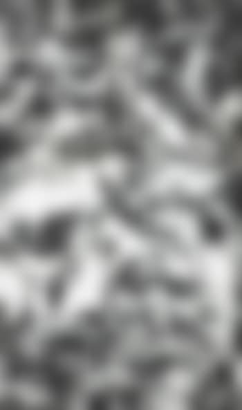 Picture Made by Hand with the Assistance of Light (preview)