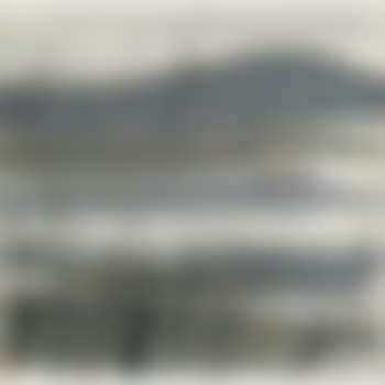 Flying Geese (preview)