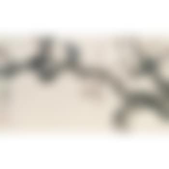 Perching On A Tree (preview)