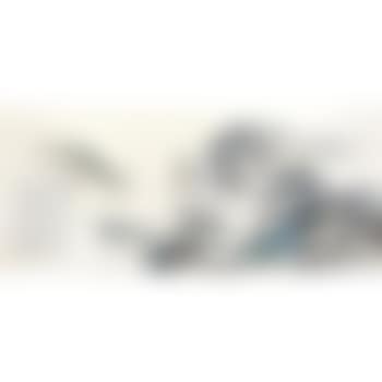 Cloudscape (preview)