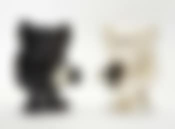 Skull-Kun (preview)