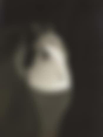 Photogram (preview)