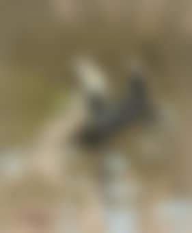 Pecheurs (preview)