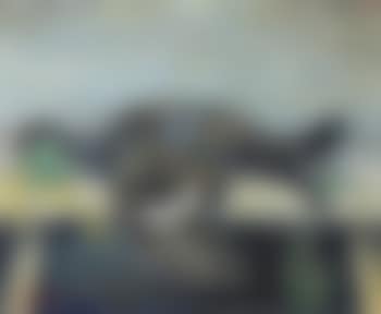 Truthan (preview)