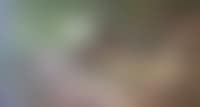 A shepherd with his flock on a sunlit woodland track (preview)