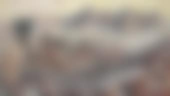 Portrait of Edulji Dinshaw (preview)