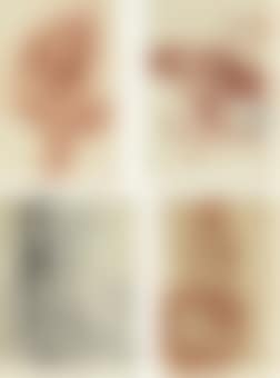 A boy in a pith helmet; Study of a female nude; Study of masks; and Study of lianas (preview)