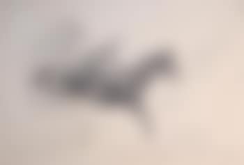 Starlight XV being ridden by Major L. Rook, Olympic Horse Trials, Badminton (preview)