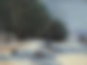 The Snowy Hillside (preview)