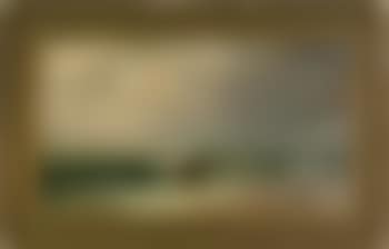 Coastal scene (preview)
