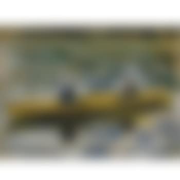 Claude Monet Et Mme Henriot (preview)