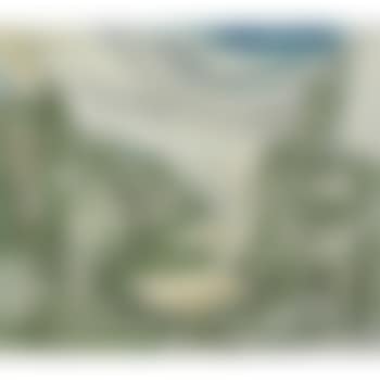 The Trees (preview)