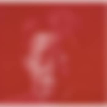 Red Self-portrait (preview)