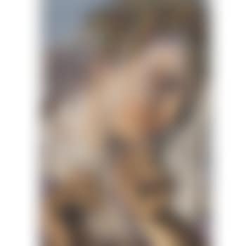 La Couronne De Fleurs II (preview)