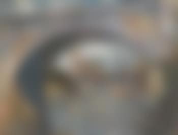 View through the bridge (preview)