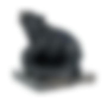 A Bear (preview)