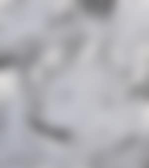 Silver in Pupil (preview)