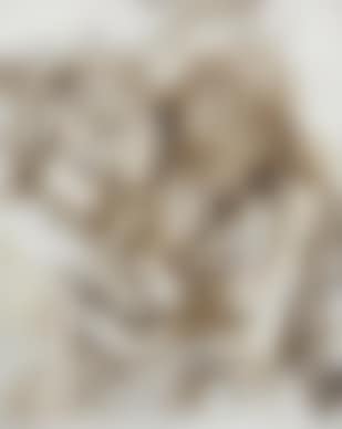 The kiss of Judas (preview)