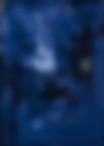 Dans la nuit… (preview)