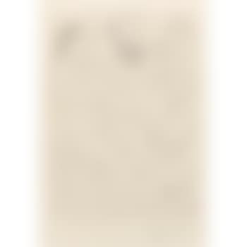 Sculpteur, Modele Et Buste Sculpte (B. 148) (preview)