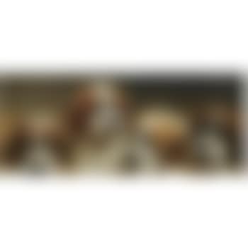 Four Curious Saint Bernards Puppies (preview)