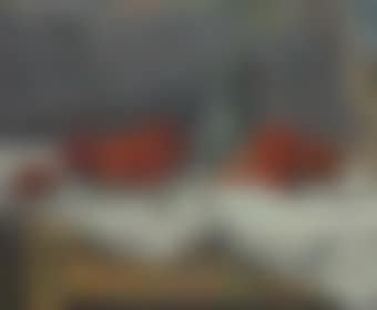 Nature morte aux tomates (preview)