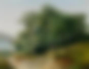 Eichengruppe am See (preview)