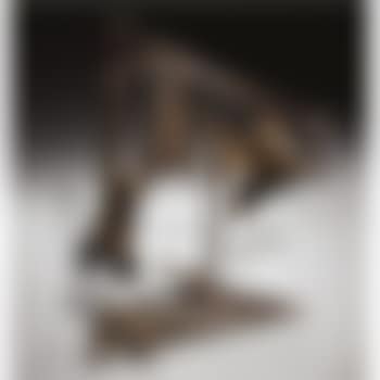 Untitled (preview)