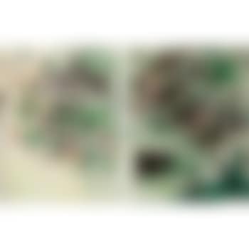 Untitled (Diptych) (preview)