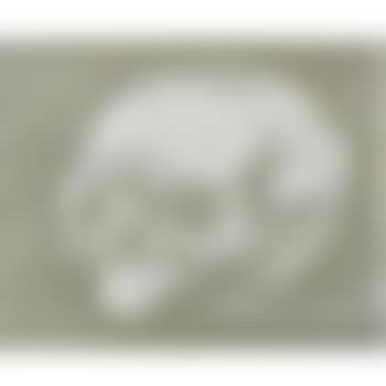 Silver Skull (preview)