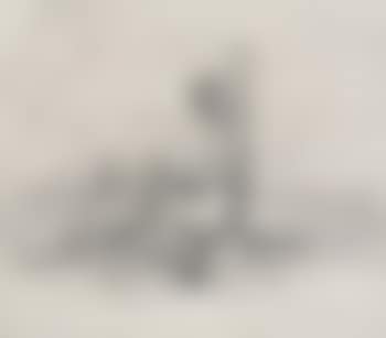 Bathers: women and children. Female nude study (preview)