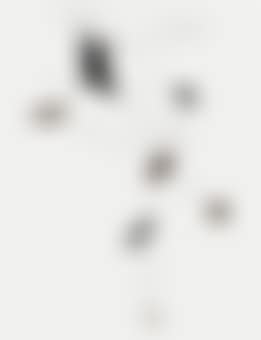 Untitled (preview)