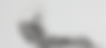 Garbage Drawing #35 (from Seventy-four Garbage Drawings and one Bush) (preview)