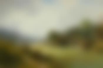 Grazing sheep (preview)