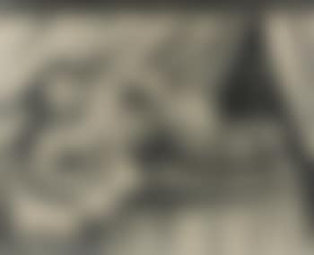 Femme lisant (preview)